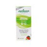 Jamieson Vitamins Chewable Iron + Vitamin B12 Tropical Mango Lime, 45 Tablets