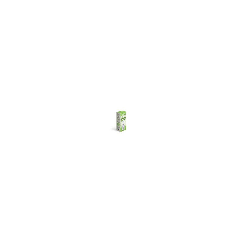 Les Savoureux Salad Dressing Shaker, 1 Shaker